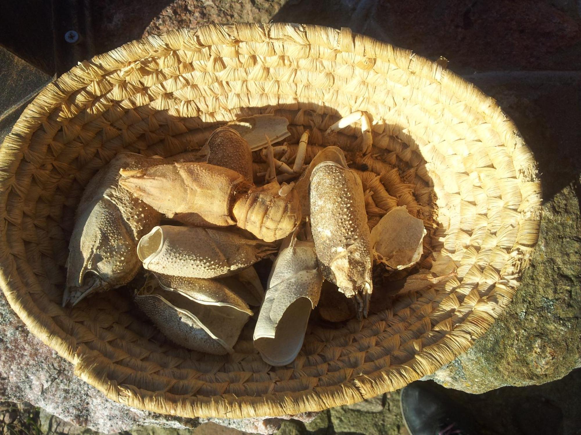 Hosteria Na Mazurach Dąbrówno Exterior foto